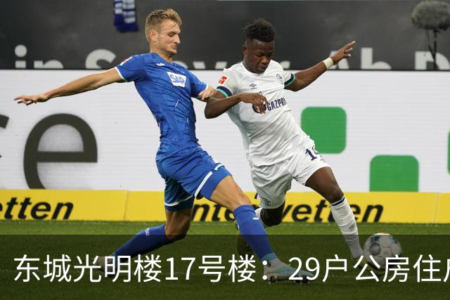 东城光明楼17号楼：29户公房住户凑钱把楼拆了重建
